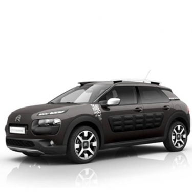 Pack de mantenimiento estándar - Citroën C4 Cactus